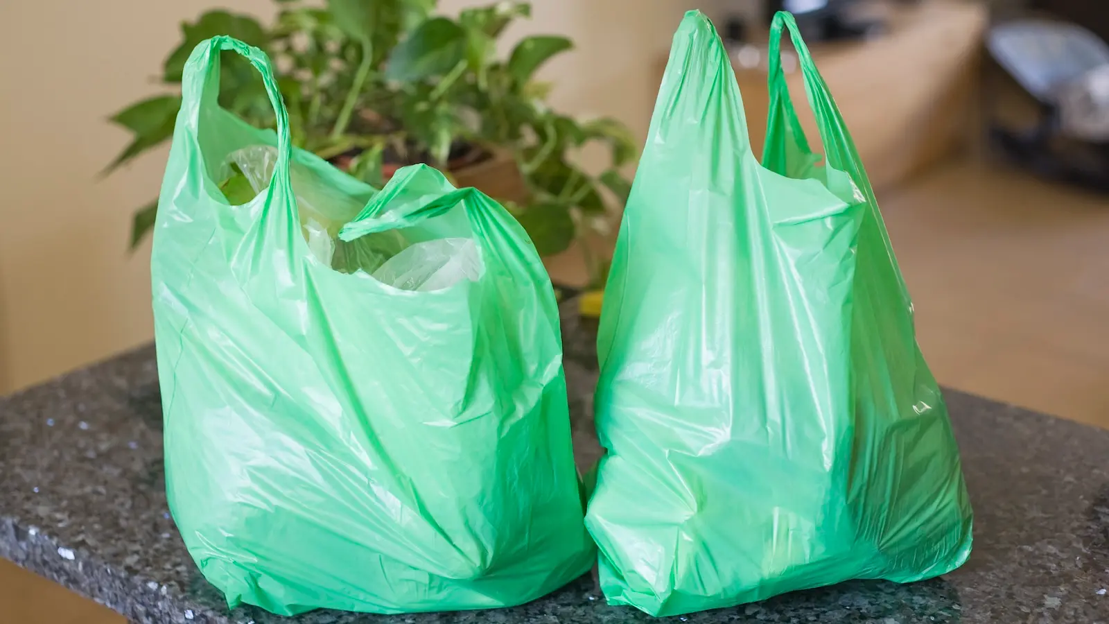 Partner Stories Covering Climate Now   Green Plastic Bags.webp