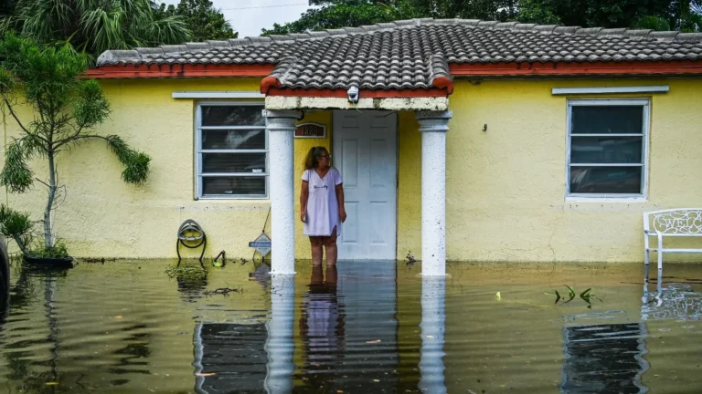 Extreme weather 101: Your guide to staying prepared and informed