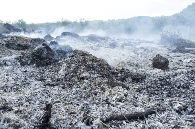 Money Won’t Matter on a Dead Planet